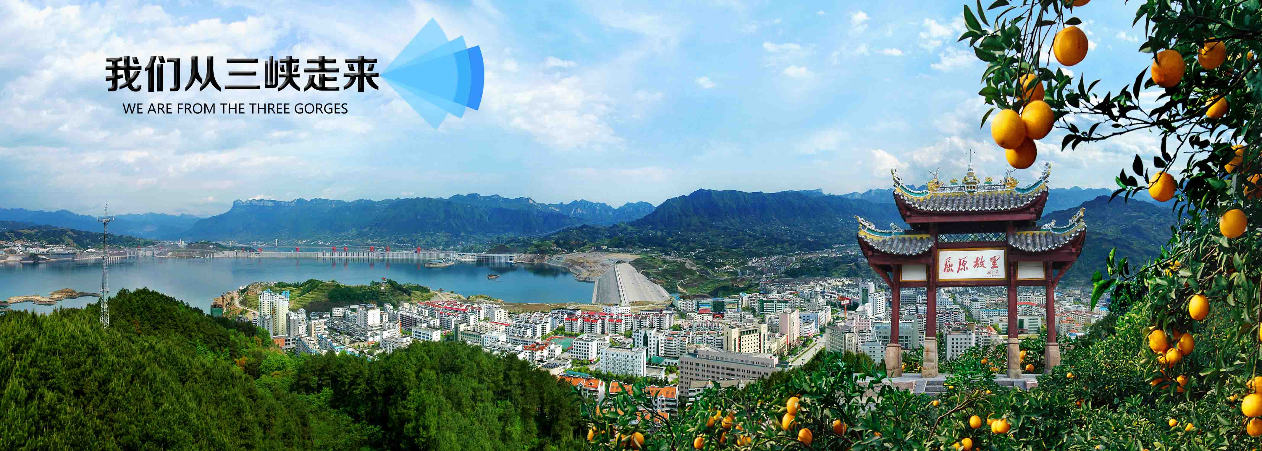 企鹅电竞官网网址